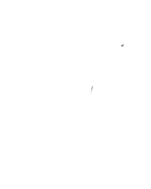 Logo White